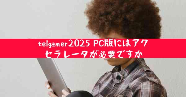 telgamer2025 PC版にはアクセラレータが必要ですか