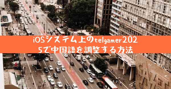 iOSシステム上のtelgamer2025で中国語を調整する方法