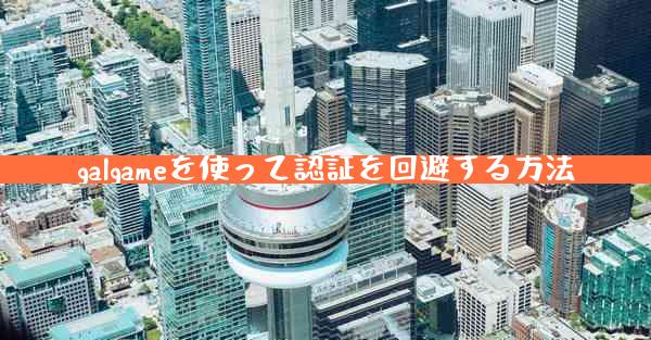 galgameを使って認証を回避する方法