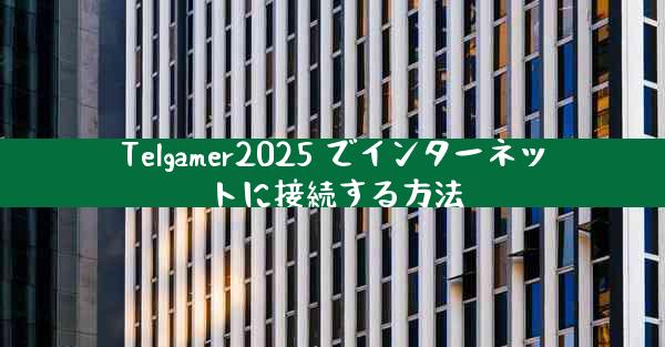 Telgamer2025 でインターネットに接続する方法