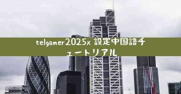 telgamer2025x 設定中国語チュートリアル