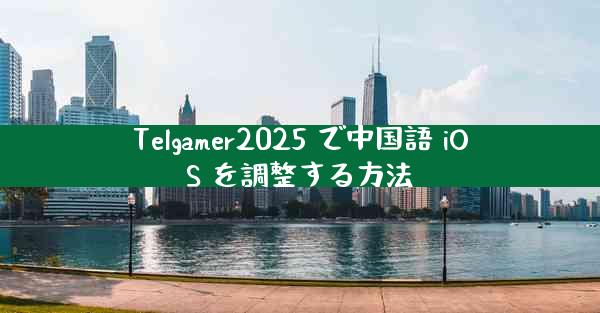 Telgamer2025 で中国語 iOS を調整する方法